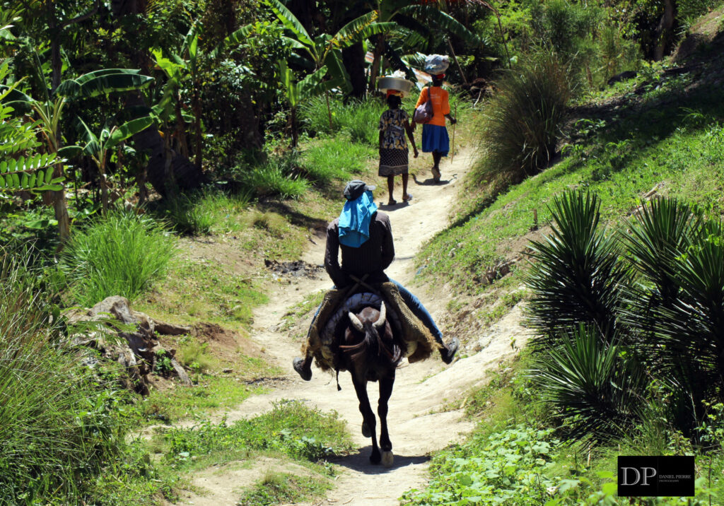 Petit_Trou_de_Nippes_2718